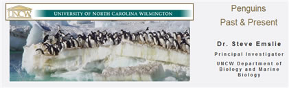 Penguins Past & Present Website