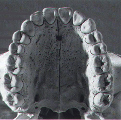 dentalwear_fa.jpg (42339 bytes)