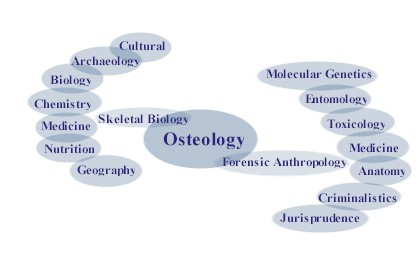 disciplines.jpg (18548 bytes)